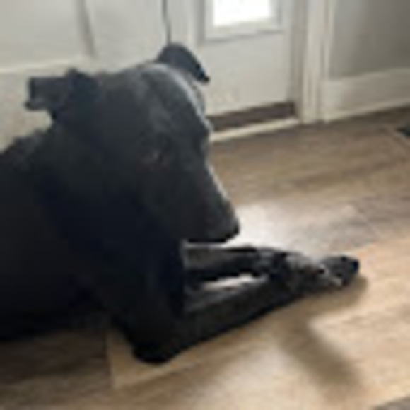 Meet your Posher, Jason - Picture 1 of 1